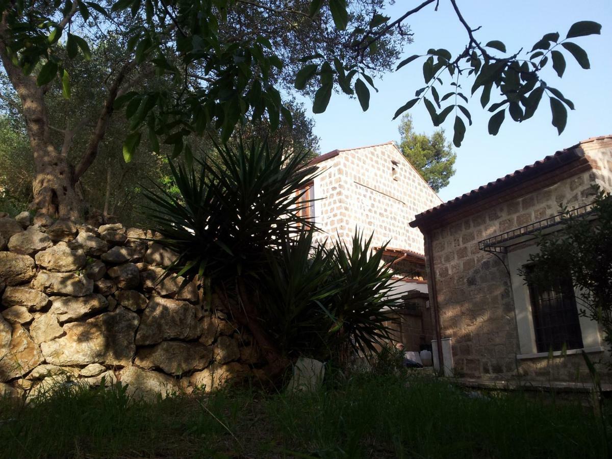 B&B Al Dosello Caserta Dış mekan fotoğraf